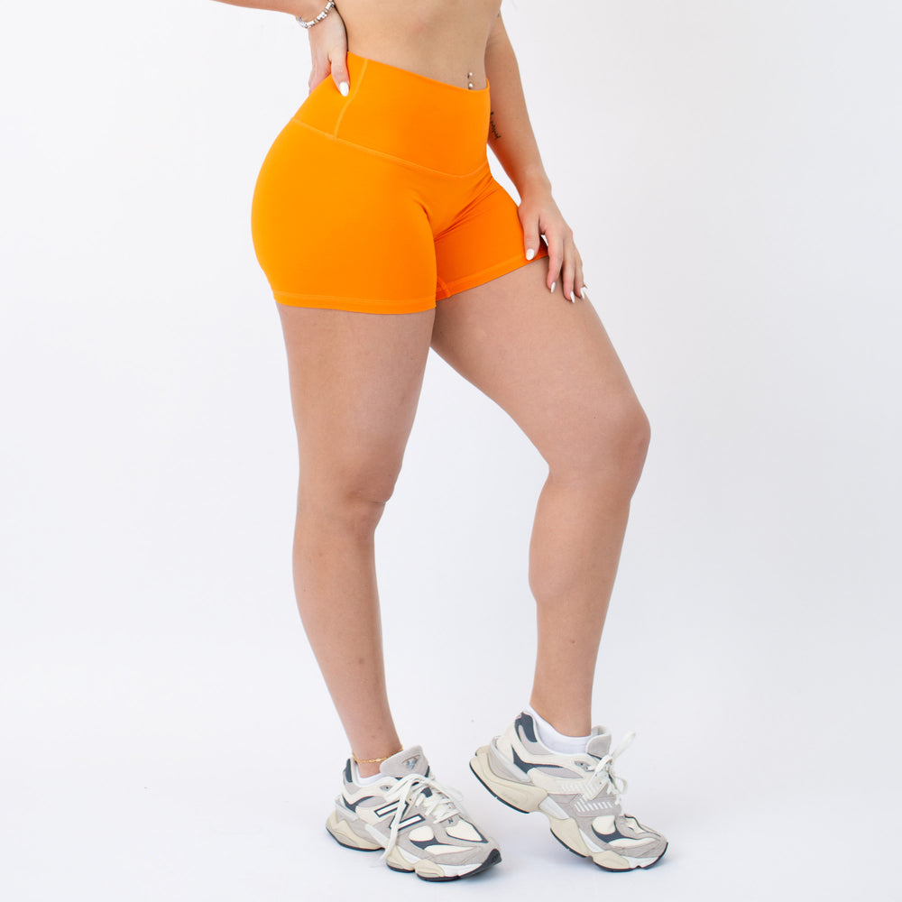 Oriole High Rise Spandex Shorts